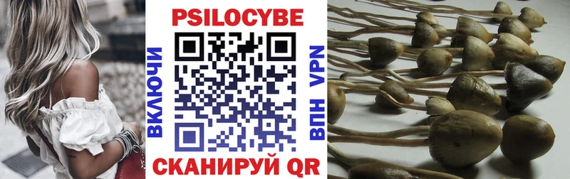 Галлюциногенные грибы прущие грибы  Ленинск-Кузнецкий 